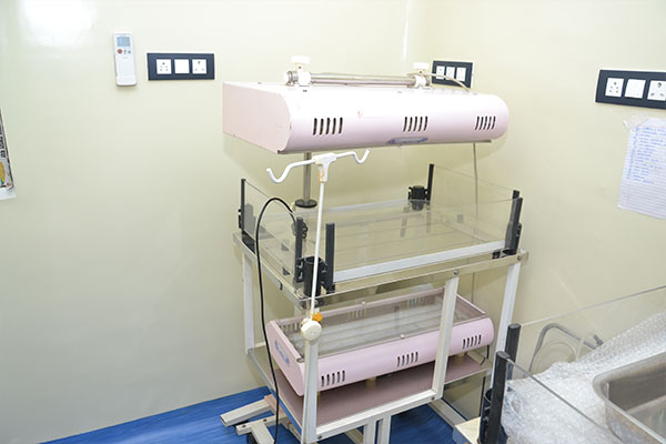 newborn baby care in kamothe, navi mumbai