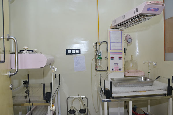 newborn baby care in kamothe, navi mumbai